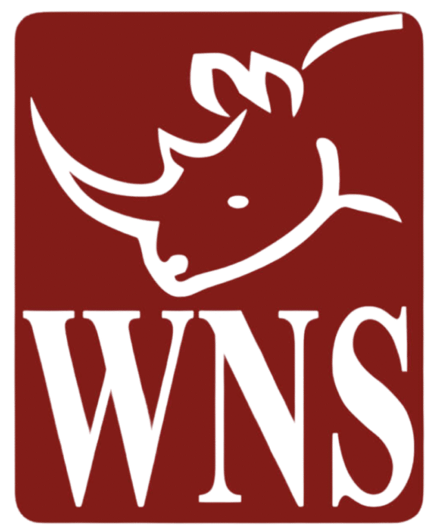 Untitled design (13)